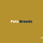 Pets Breeds