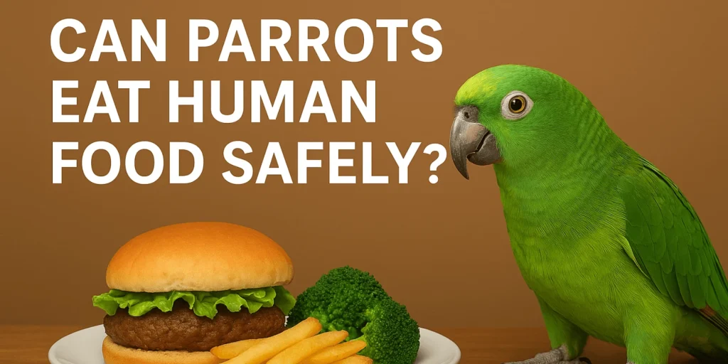 Can Parrots Eat Human Food Safely