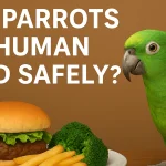 Can Parrots Eat Human Food Safely