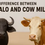 Difference Between Buffalo and Cow Milk Difference Between Buffalo and Cow Milk
