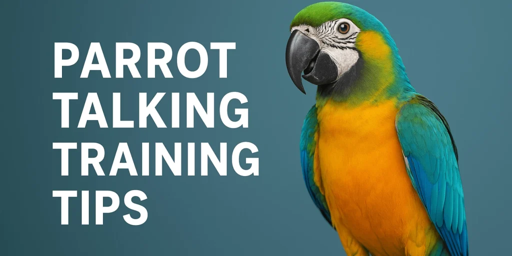 Parrot Talking Training Tips