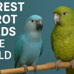 Rarest Parrot Breeds in the World