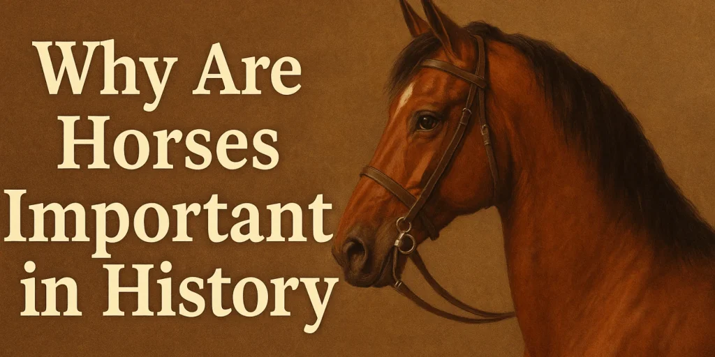 Why Are Horses Important in History