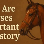 Why Are Horses Important in History