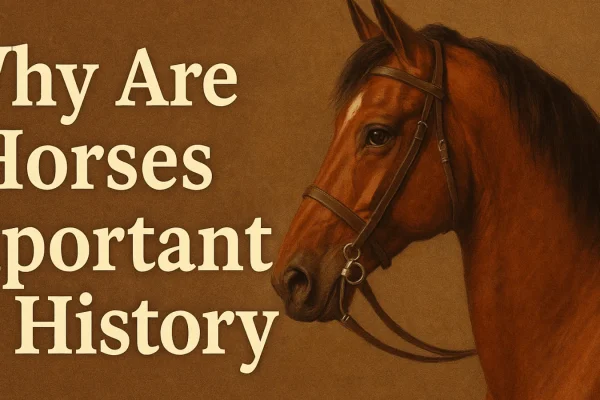 Why Are Horses Important in History